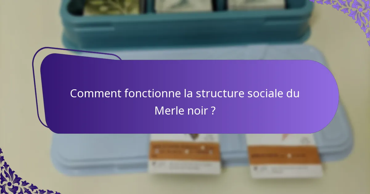 Comment fonctionne la structure sociale du Merle noir ?