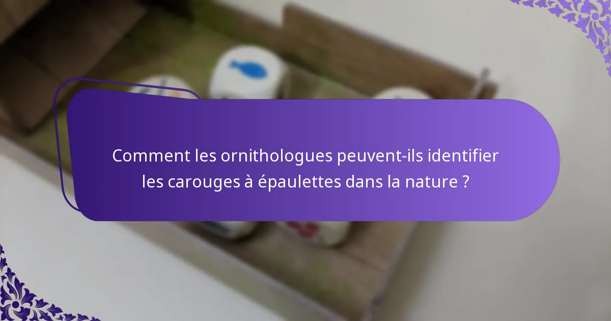Que mange le carouge à épaulettes ?