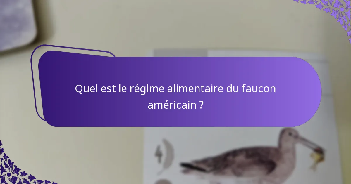 Comment les techniques de chasse varient-elles selon les régions pour le faucon américain ?