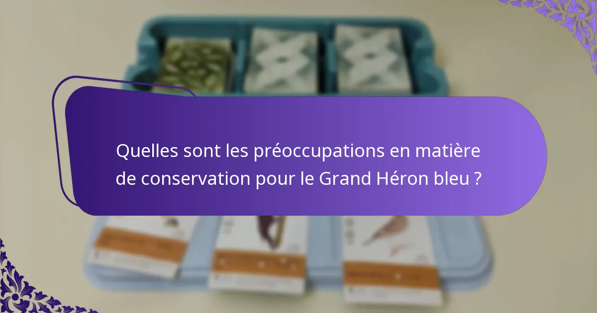 Comment le Grand Héron bleu se compare-t-il aux autres espèces de hérons ?
